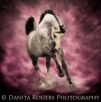 blue background 3 med_&nbsp;copy-8-2-2